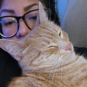 Meet your Posher, Zacil